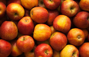 Background from ripe apples in red and yellow.