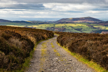 A gravel path lined by heather leads to a view of Cordon Hill in the Shropshire Hills