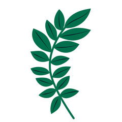 leaf flat design on white background, isolated