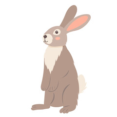 rabbit flat design on white background, isolated vector