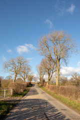 Springtime country road in autumn