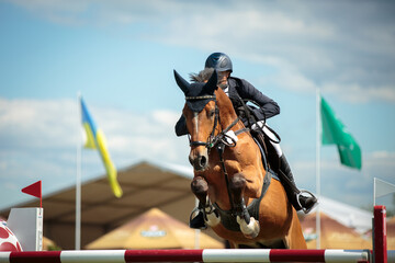 Horse Jumping, Equestrian Sports, Show Jumping themed photo.