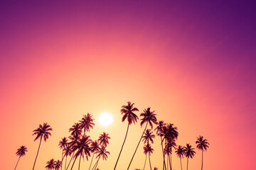Fototapeta na wymiar Coconut palm trees silhouettes on tropical beach during vivid sunset with colorful sky