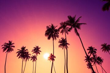 Tropical beach at vivid sunset with coconut palm trees silhouettes and colorful sky - 489375742