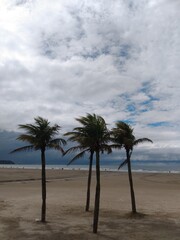Beach, Praia, Mar, Oceano