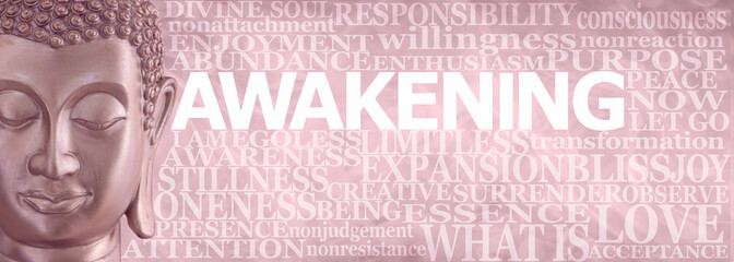 Buddhism Words associated with  Awakening Wall Art - pale pink grey forward facing Buddha head...