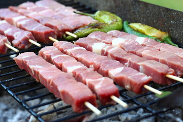 Grilled meat skewer