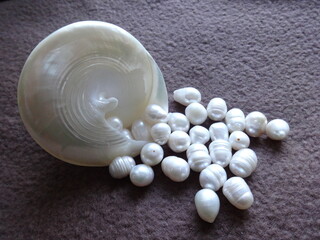 Sweet Water & Waterscapes Pearls and a Pyramid Shell