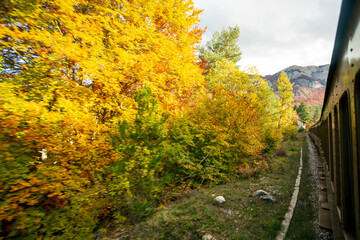 Viaggio in treno in Abruzzo, la transiberiana d'italia, Viaggio tra monti e boschi in autunno, un paesaggio bellissimo

