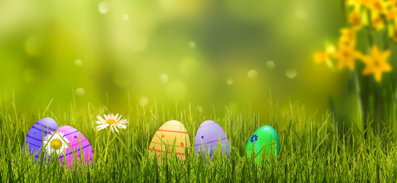 colorful easter eggs hidden in an idyllic spring meadow in foreground, daffodil flowers on abstract blurred background, beautiful easter decoration for greeting card