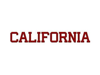 Obraz premium California Embroidery Designs