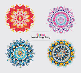 colorful mandala gallery art design vector pattern ornament