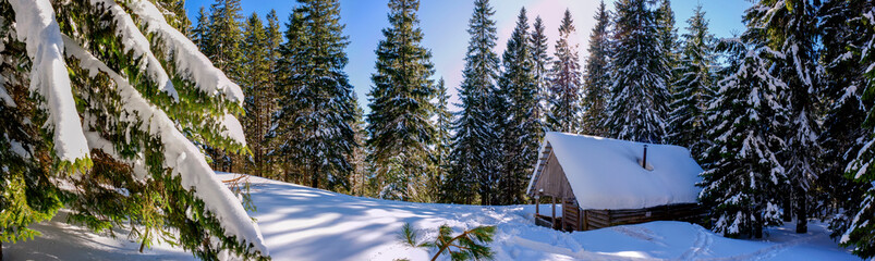 Panorama of a house in the winter forest