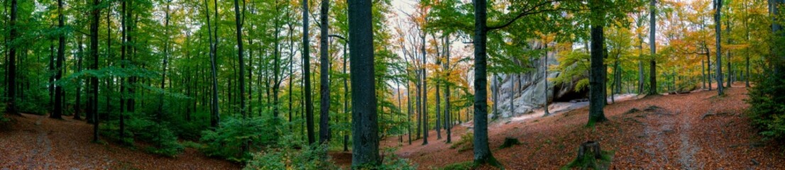 Obraz premium Autumn panorama in the rocky mountains. Trees in a color palette.