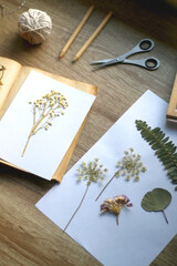 Old book, papers, various pressed flowers, eyeglasses, scissors, pencils and rope on wooden desk. Crafting and making herbarium at home. Selective focus. - obrazy, fototapety, plakaty