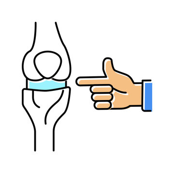 knee-joint radiology color icon vector illustration flat