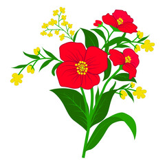 colorful flower illustration 

