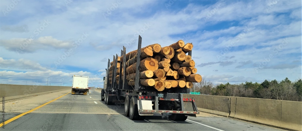 Wall mural large logging truck on the highway