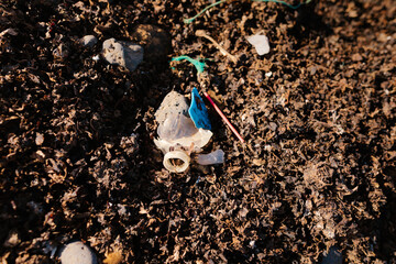 Plastic garbage polluting environment on ground in nature