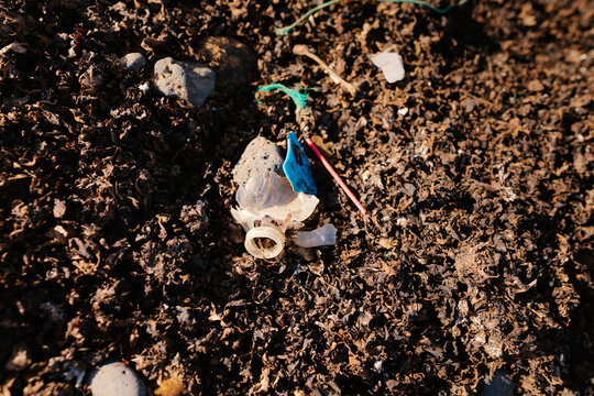 Plastic garbage polluting environment on ground in nature
