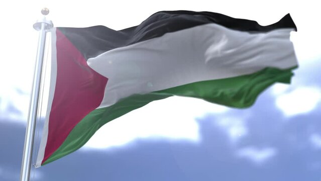 Palestine flag waving against the sky. High quality 4k footage