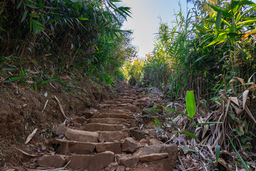 stone stairs leading to the forests at morning from low angle