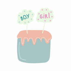gender reveal party