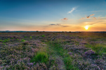 Summer sunset over Winfrith Heath