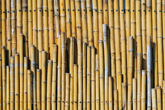 Bamboo Sticks Images – Browse 73,377 Stock Photos, Vectors, and