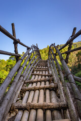 Naklejka premium traditional bamboo bridge for crossing river at forest at morning from different angle