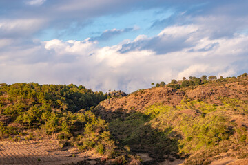 Fototapeta premium mountain covered with green forests and bright blue sky at afternoon from flat angle