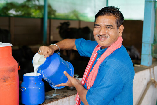 Happy smiling milk dairy farmer busy working while looking at camera - concept of milk production agri busines, rural India, growth and agriculture