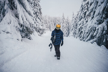Man walking with snowboard in snowy forest
