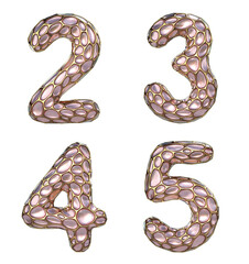 Obraz premium Number set 2, 3, 4, 5 made of realistic 3d render golden shining metallic. Collection of gold shining metallic with pink color glass symbol