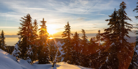 Obraz premium Sunset View from top of Hollyburn Mountain in Winter Season. West Vancouver, British Columbia, Canada. Canadian Nature Background