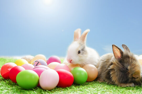 bunny easter and colorful eggs background blue sky with copy space for texts, concept easter celebration in April