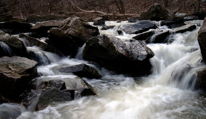 waterfall in the forest