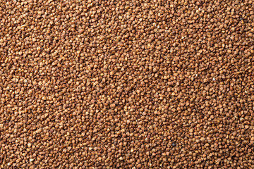 Raw organic buckwheat groats background. Texture of wholegrain dry buckwheat seeds. Roasted buckwheat grains for gluten free diet, vegetarian food and dietary fiber concepts. Full frame.
