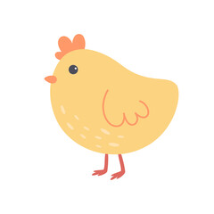 Cute little chicken. Easter character. Hand drawn vector illustration