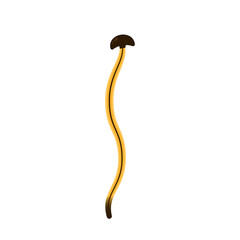 Hammerhead vector. Hammerhead worm on white background. With head black like hammer axe or an ax and black tail tip. - obrazy, fototapety, plakaty