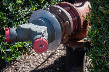 fire hydrant in a park