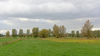 Lush green fields with trees under grey storm clouds in Oude Kalevallei nature reserve, Vinderhoute, Flanders, Belgium 