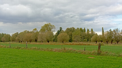 Lush green fields with trees under grey storm clouds in Oude Kalevallei nature reserve, Vinderhoute, Flanders, Belgium 