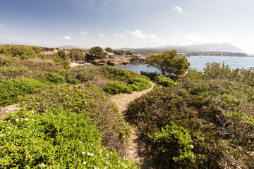 Sentier dans la garrigue descendant vers une crique avec une jolie plage sur une île...