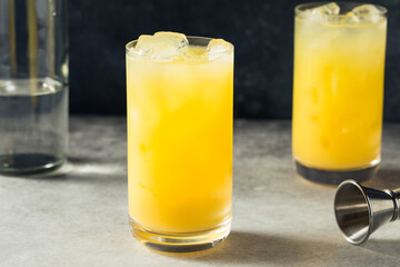 Boozy Cold Refreshing Gin and Juice