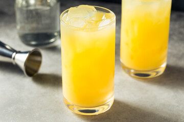 Boozy Cold Refreshing Gin and Juice
