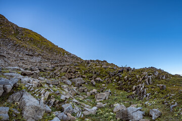 Ibexes in stone garden