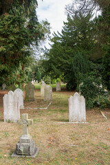 gravestones in the cemetery 