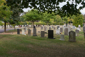 gravestones in the cemetery 