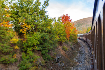 Train trip to Abruzzo, the Trans-Siberian of Italy, Journey through mountains and woods in autumn, a beautiful landscape
